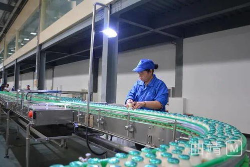 陆良现代化厂区投资2.8亿，企业管理服务助力试生产阶段高效运行