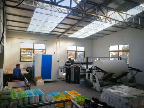 农村小型卫生纸加工厂投资规划与企业服务指南